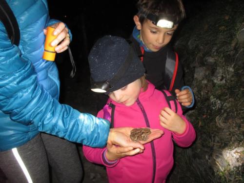 Trekking (2) (2)